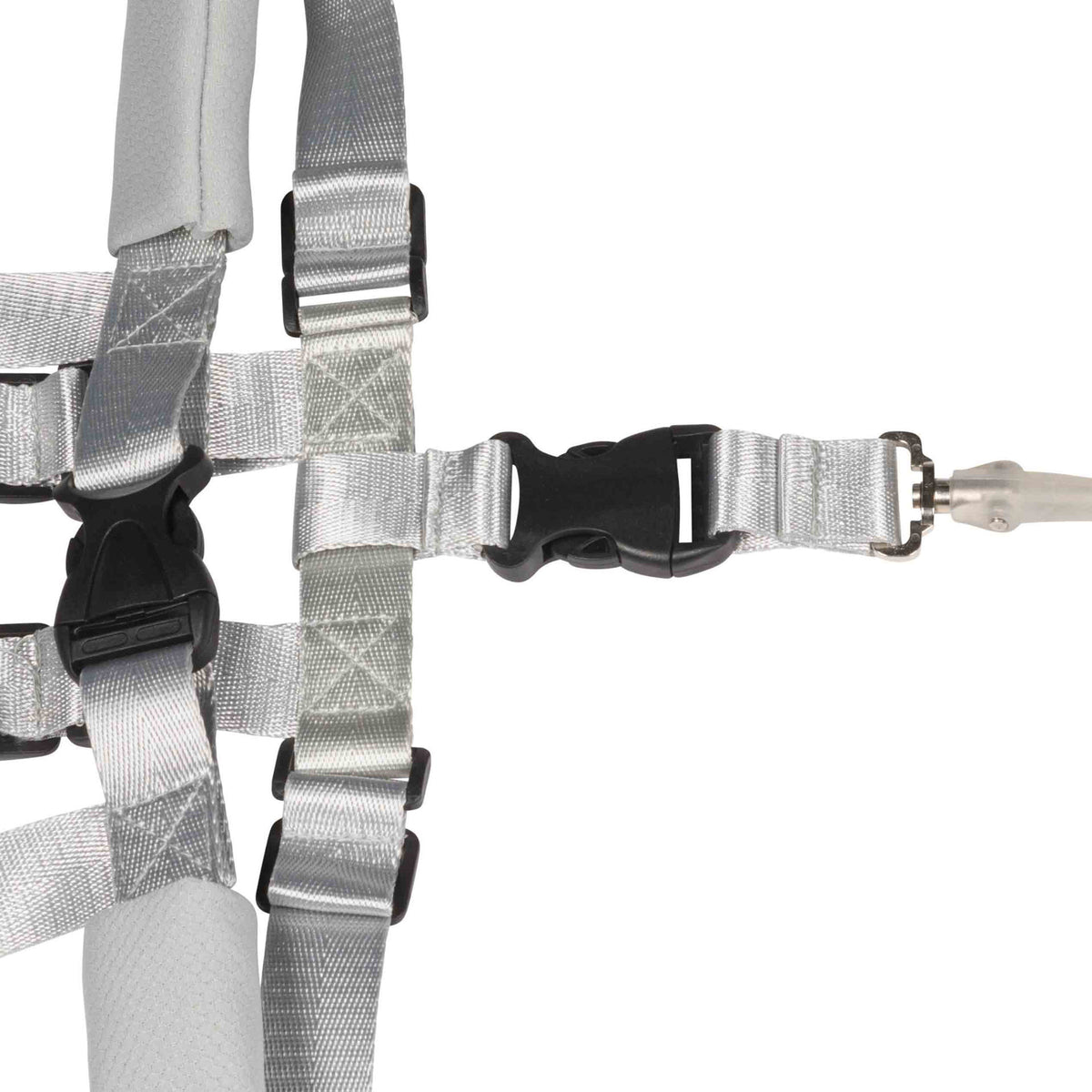 Dooky Safety Harness Set 6–36 Months