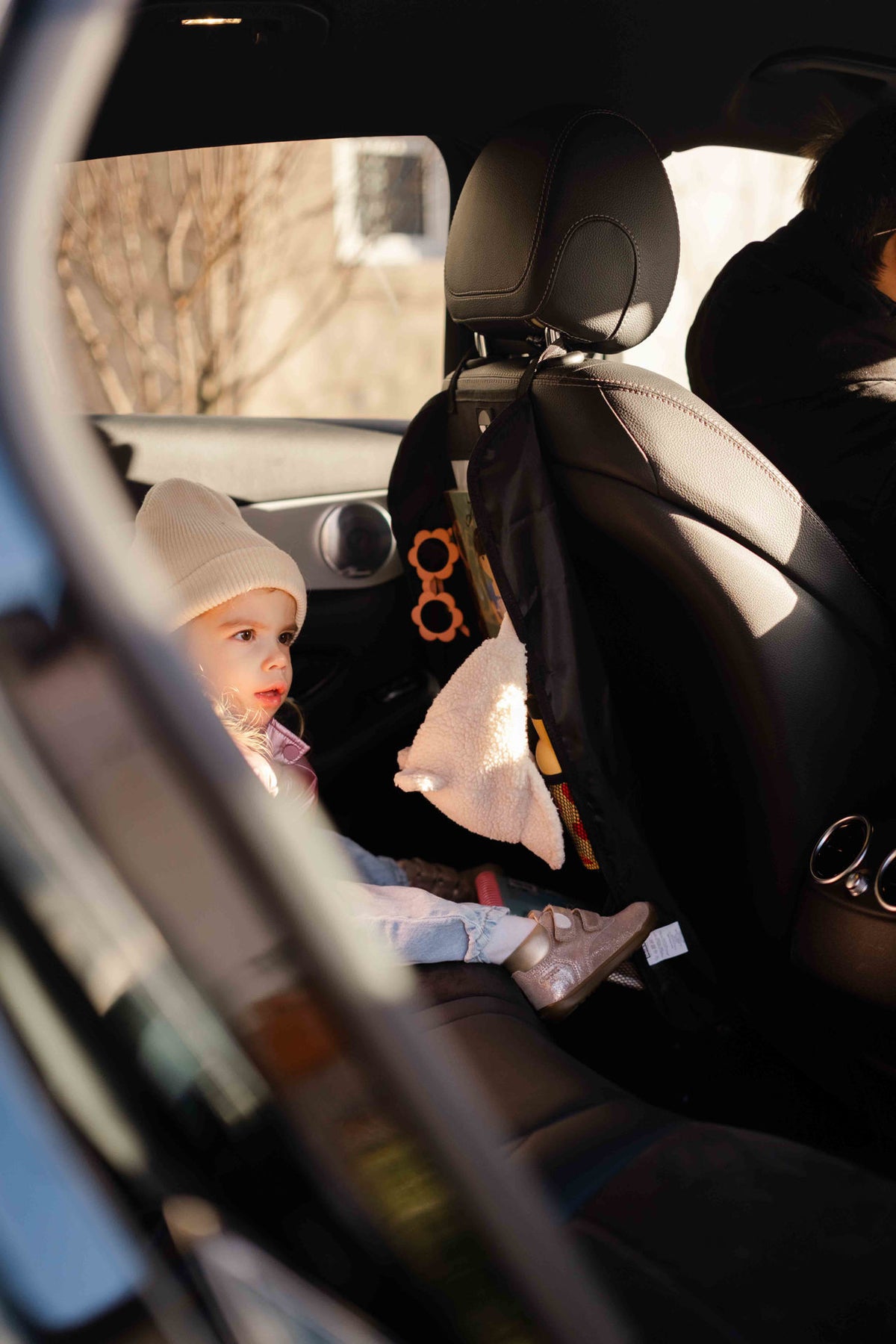 Dooky Back seat organizer