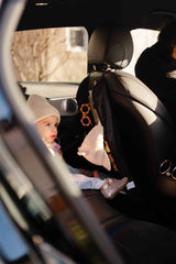 Dooky Back seat organizer