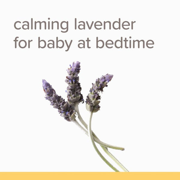 Burts Bee Shampoo & Wash - Calming 21fl OZ 621ML