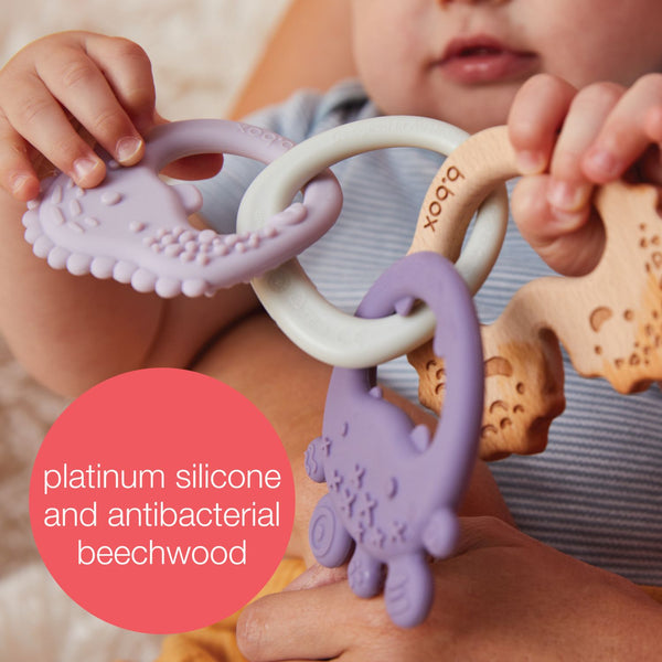 B Box Trio Teether - Peony Purple