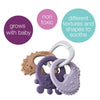 B Box Trio Teether - Peony Purple