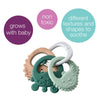 B Box Trio Teether - Sage Green