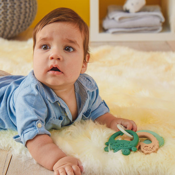 B Box Trio Teether - Sage Green