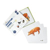 Brainsmith Quantum Cards Farm Animals