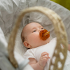 Natural rubber pacifier 6-18 M