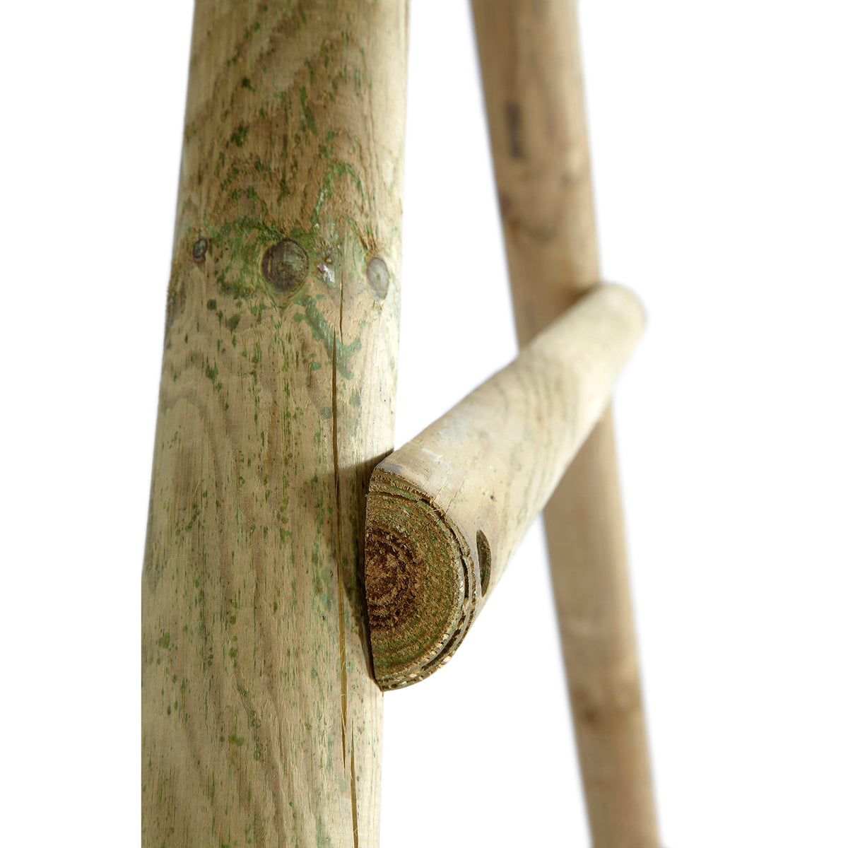 Plum Bush Baby Wooden Swing Set