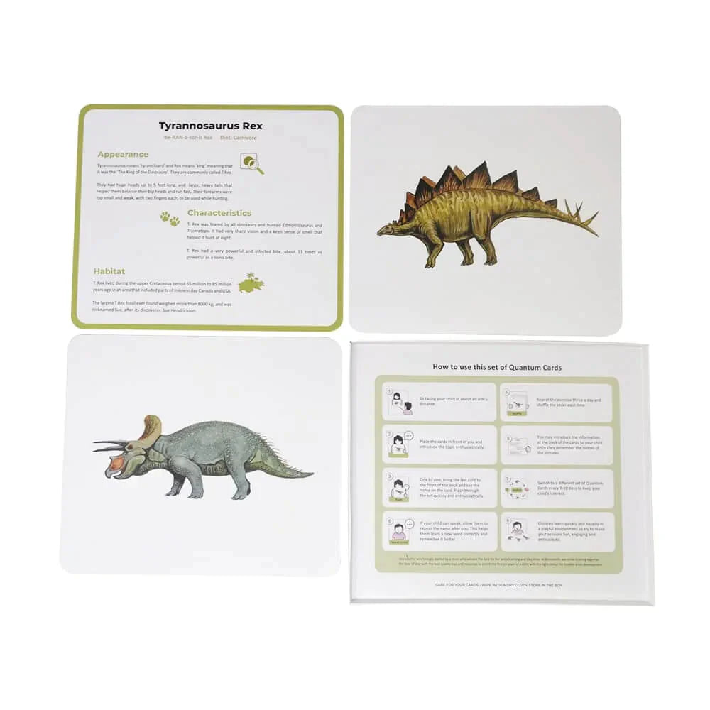 Brainsmith Dinosaurs Quantum Flash Cards | Set of 10 Learning Cards