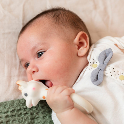 SoPure Ring teether