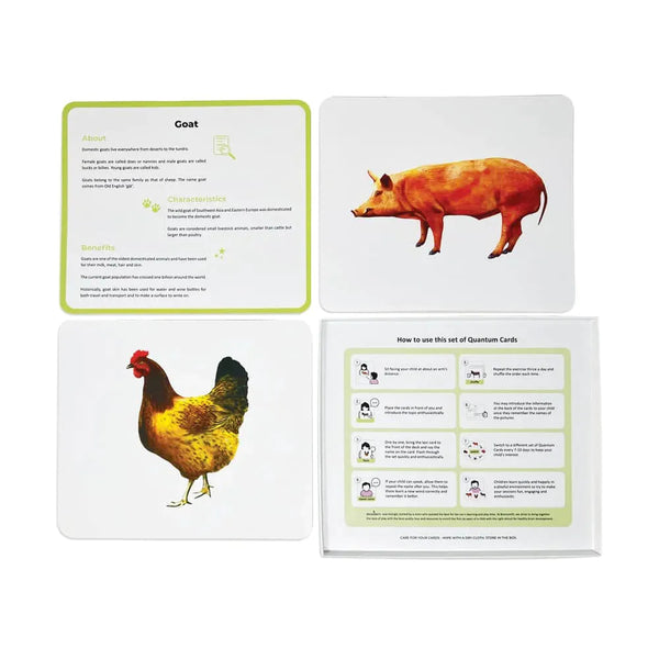 Brainsmith Quantum Cards Farm Animals