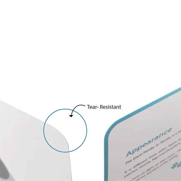 Brainsmith Quantum Cards Mammals