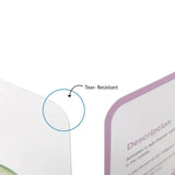 Brainsmith Fruits Quantum Flash Cards Set of 10 Cards 25.8 × 22.1 cm Multicolor