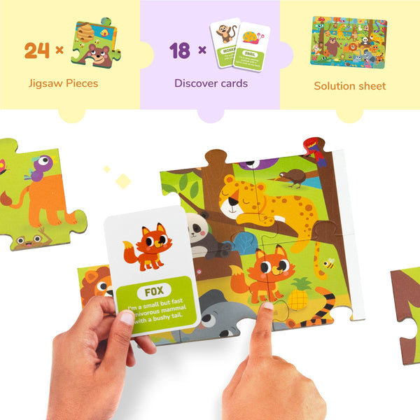 Dabble Where is it- Jaunty Jungle