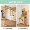 Curious Cub Wall Foldable Jungle Gym