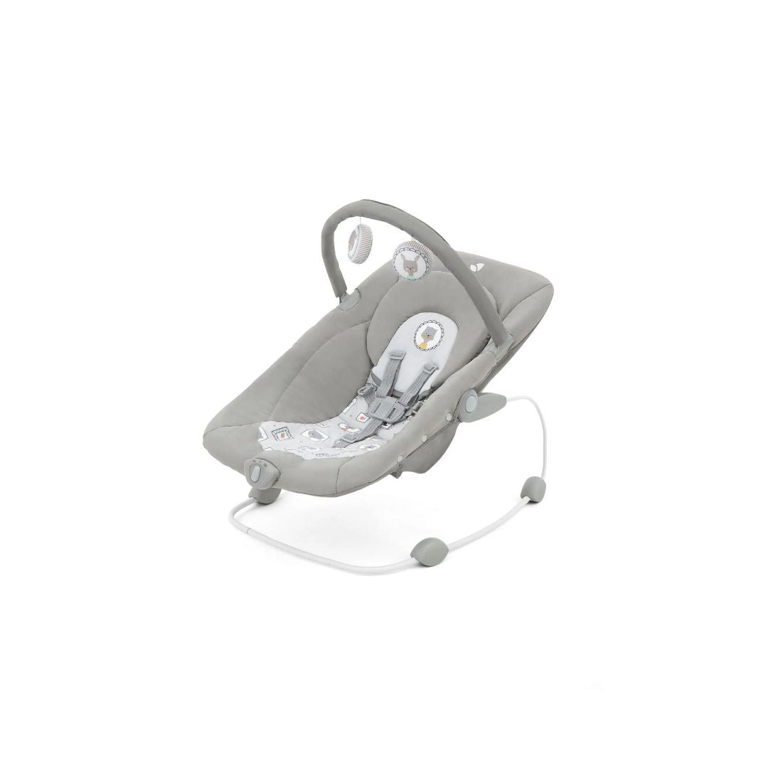 Joie Wish™ Bouncer & Rocker – Portrait