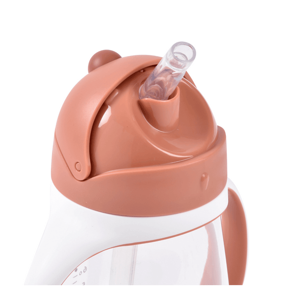 Beaba Straw Sipper 300 Ml - Terracotta