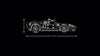 LEGO Technic 1966 Ford GT40 MKII Race Car 793 Pieces 18+ – Black & Silver
