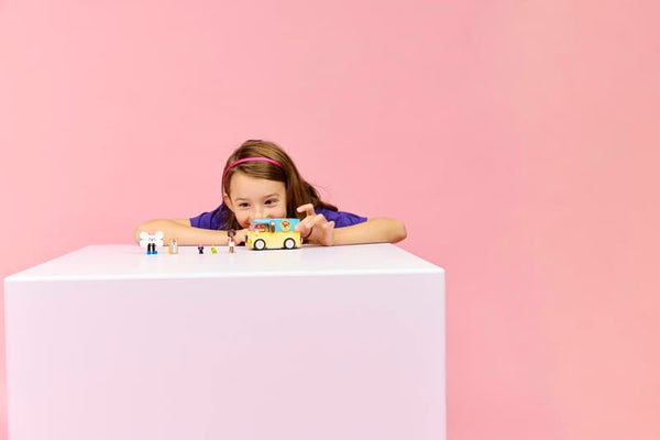 LEGO Friends Pet Accessories Van 6+ 42678