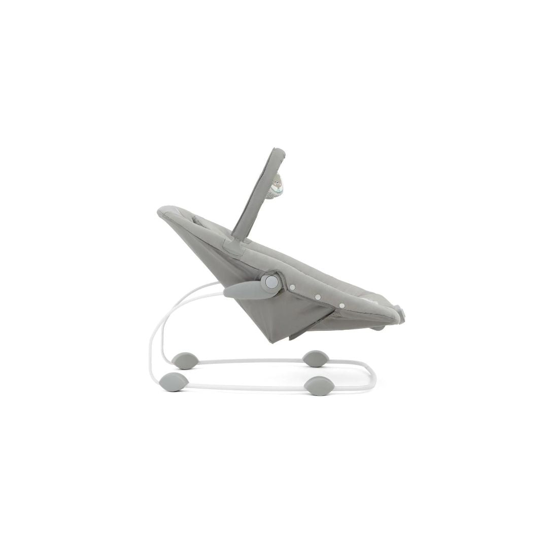 Joie Wish™ Bouncer & Rocker – Portrait