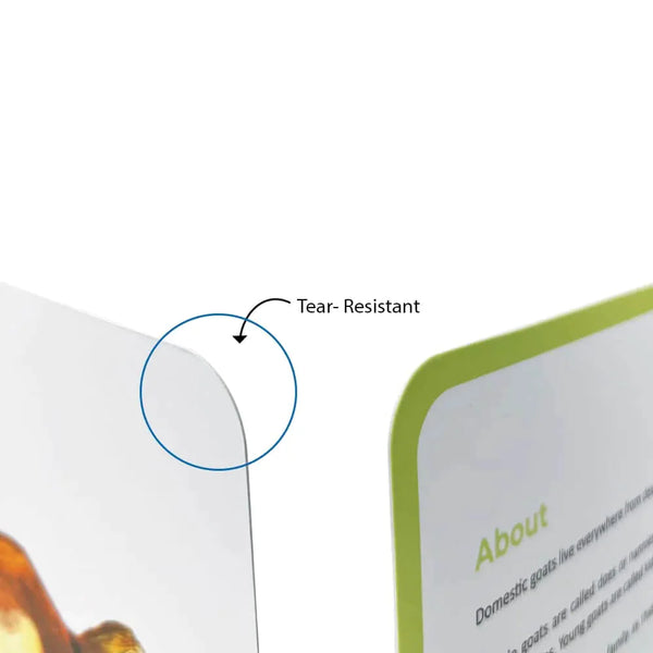 Brainsmith Quantum Cards Farm Animals