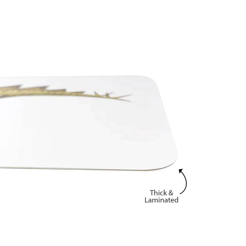 Brainsmith Dinosaurs Quantum Flash Cards | Set of 10 Learning Cards