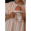 Beaba Straw Sipper 300 Ml - Terracotta