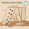 Curious Cub Foldable Jungle Gym