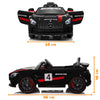 E-Motorad Formula Fun Mercedes AMG GT-4 - Black
