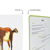 Brainsmith Quantum Cards Farm Animals