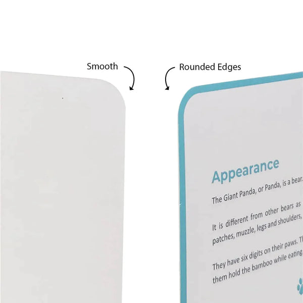 Brainsmith Quantum Cards Mammals