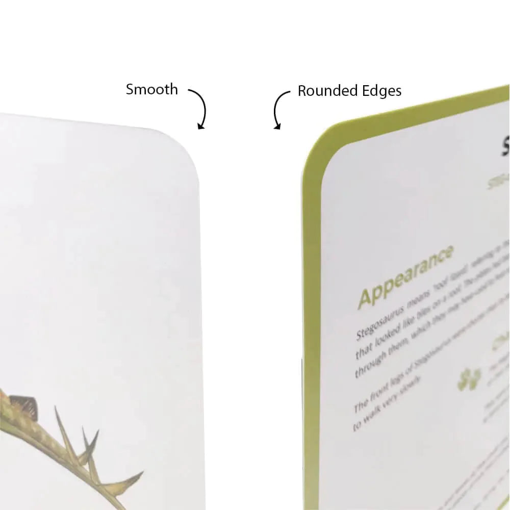 Brainsmith Dinosaurs Quantum Flash Cards | Set of 10 Learning Cards
