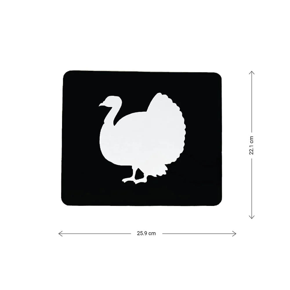 Brainsmith Farm Animals Newborn High Contrast Flash Cards Set of 10 Cards 26 × 22 cm Black & White