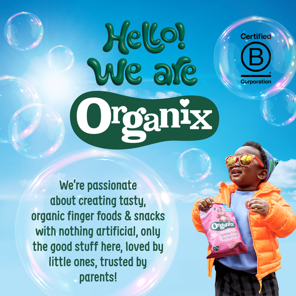 Organix Raisins Mini Boxes