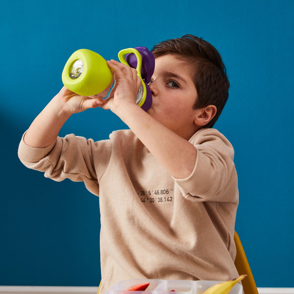 B Box Tritan Sport Spout Drink Bottle 450Ml - Passion Splash Purple Green