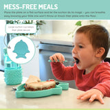 Melii Divided Silicone Suction Plate 6M+ – Shark