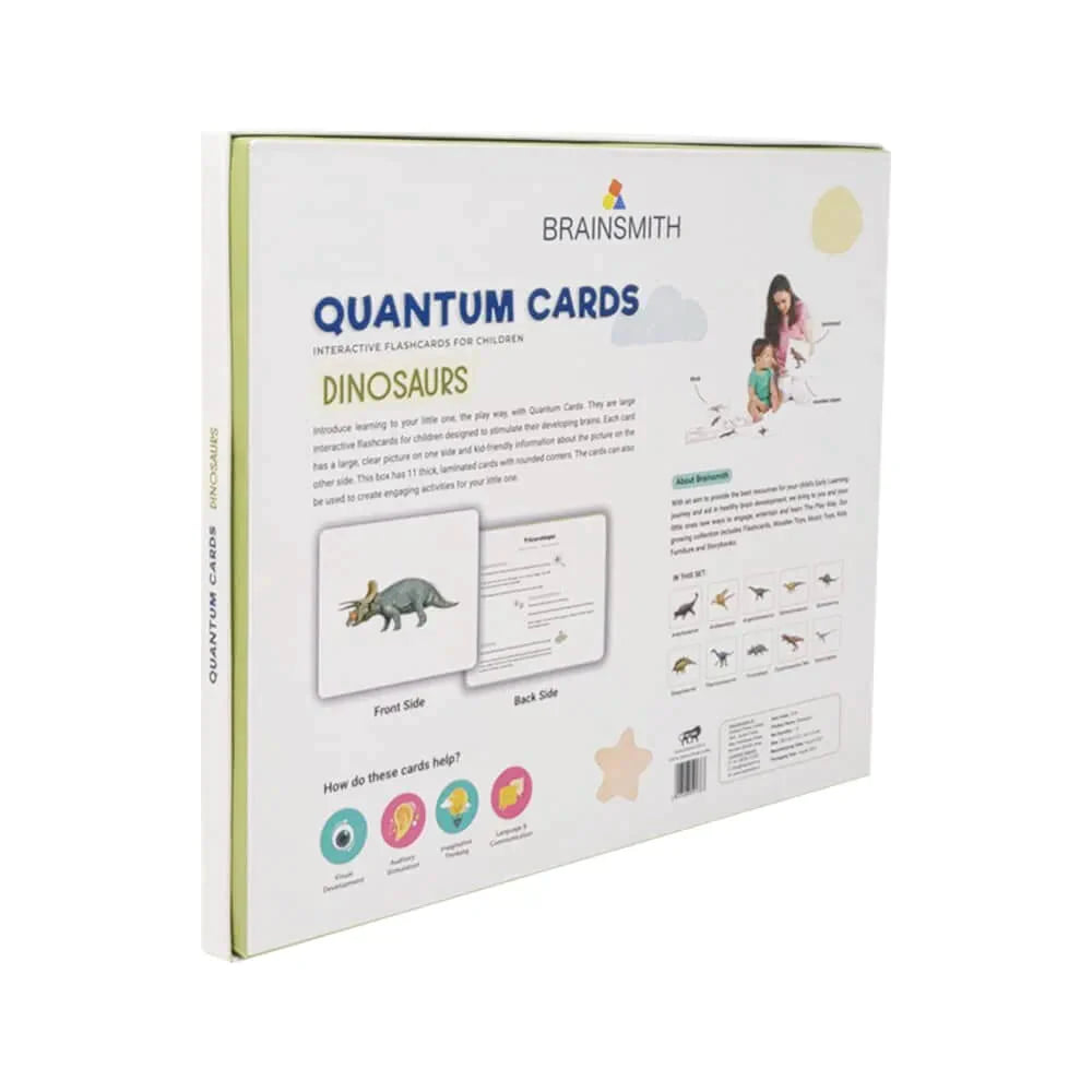 Brainsmith Dinosaurs Quantum Flash Cards | Set of 10 Learning Cards