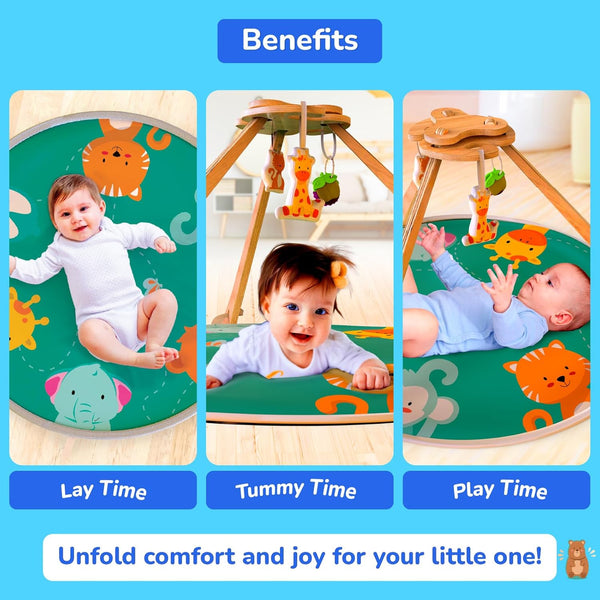 Giggles Wooden Wonderland Baby Play Gym 2M+ – Natural Wood