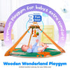 Giggles Wooden Wonderland Baby Play Gym 2M+ – Natural Wood
