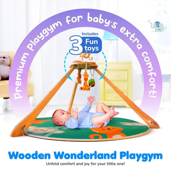 Giggles Wooden Wonderland Baby Play Gym 2M+ – Natural Wood