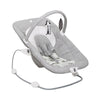 Joie Wish™ Bouncer & Rocker – Petite City