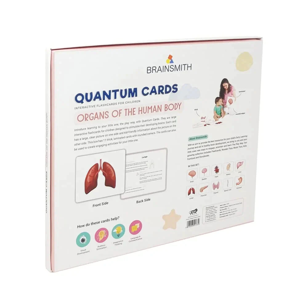 Brainsmith Organs of the Human Body Quantum Flash Cards Set of 10 Cards 25.8 × 22.1 cm Multicolor