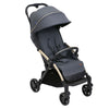 Chicco Stroller Goody Xplus Dark Shadow