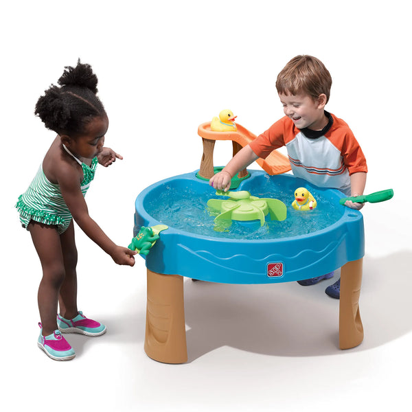 Step2 - Duck Pond Water Table