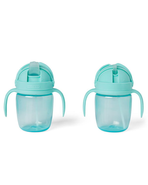 Skip Hop Sip-to-Straw Cup