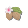 Oli & Carol Aly The Almond Natural Rubber Teether