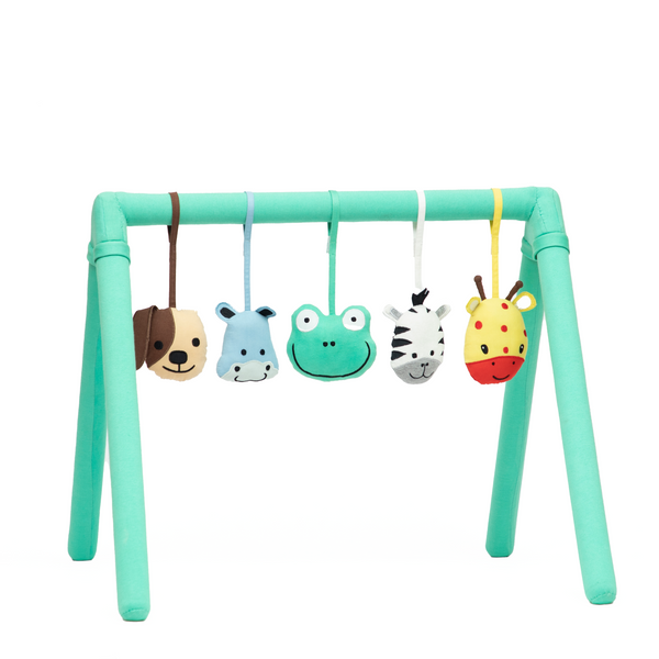 Role Play Animal Friends Play Gym