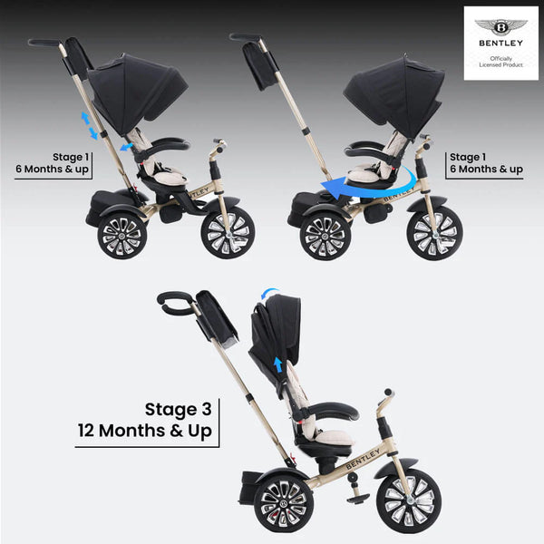 Bentley 6-In-1 Baby Stroller - Gold