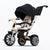 Bentley 6-In-1 Baby Stroller - Gold