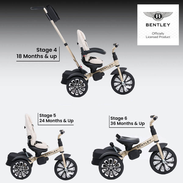 Bentley 6-In-1 Baby Stroller - Gold