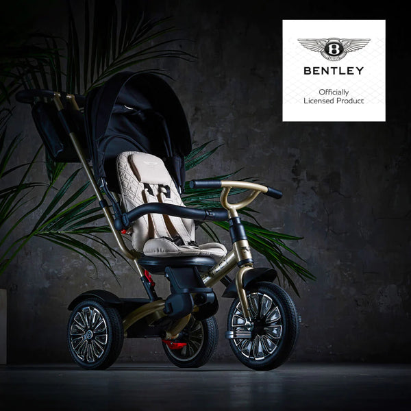 Bentley 6-In-1 Baby Stroller - Gold